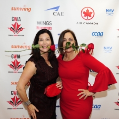 CWIA-2019-196