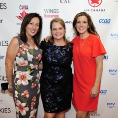 CWIA-2019-217