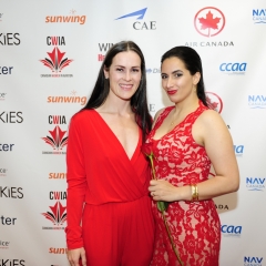 CWIA-2019-225