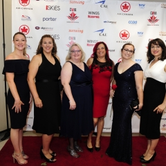 CWIA-2019-233
