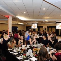 CWIA-2019-235