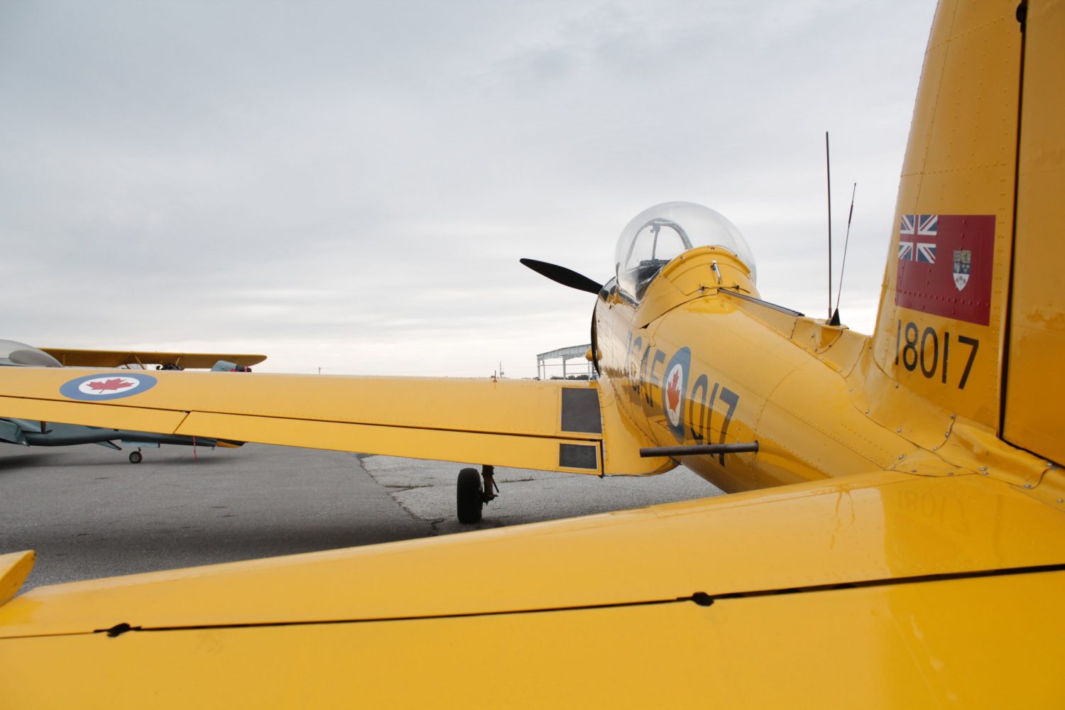 Yellow Aircraft Canadian Women in Aviation